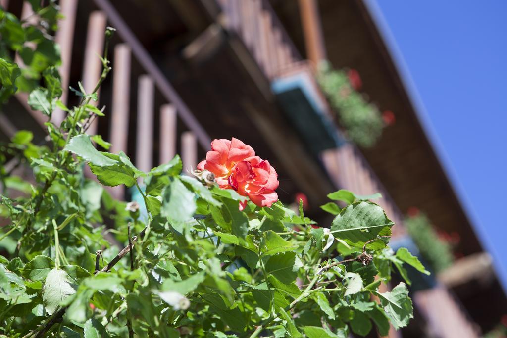 Le Rosier B&B E Appartamento Saint-Vincent Dış mekan fotoğraf